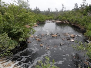 water over rocks